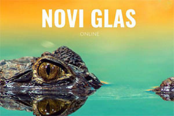 Novi glas